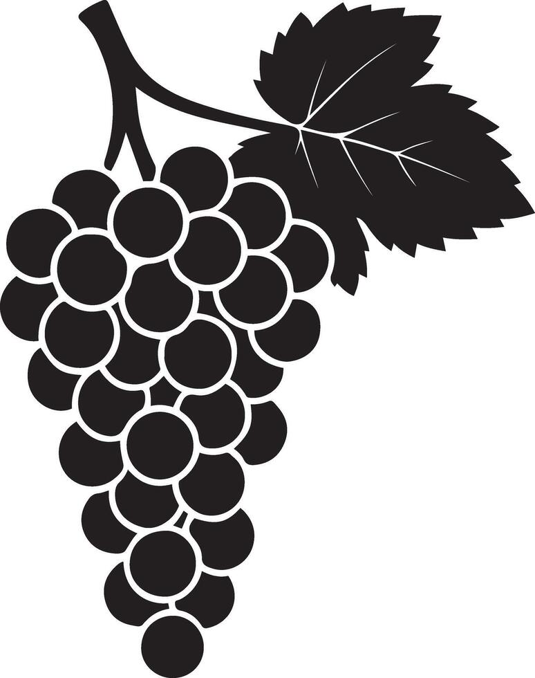 Bunch of grapes graphic black and white design, Cluster of grapes minimal sketch vector