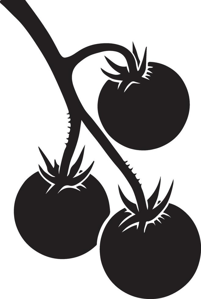 Tomatoes branch silhouette black and white, Garden tomato plant design sketch vector