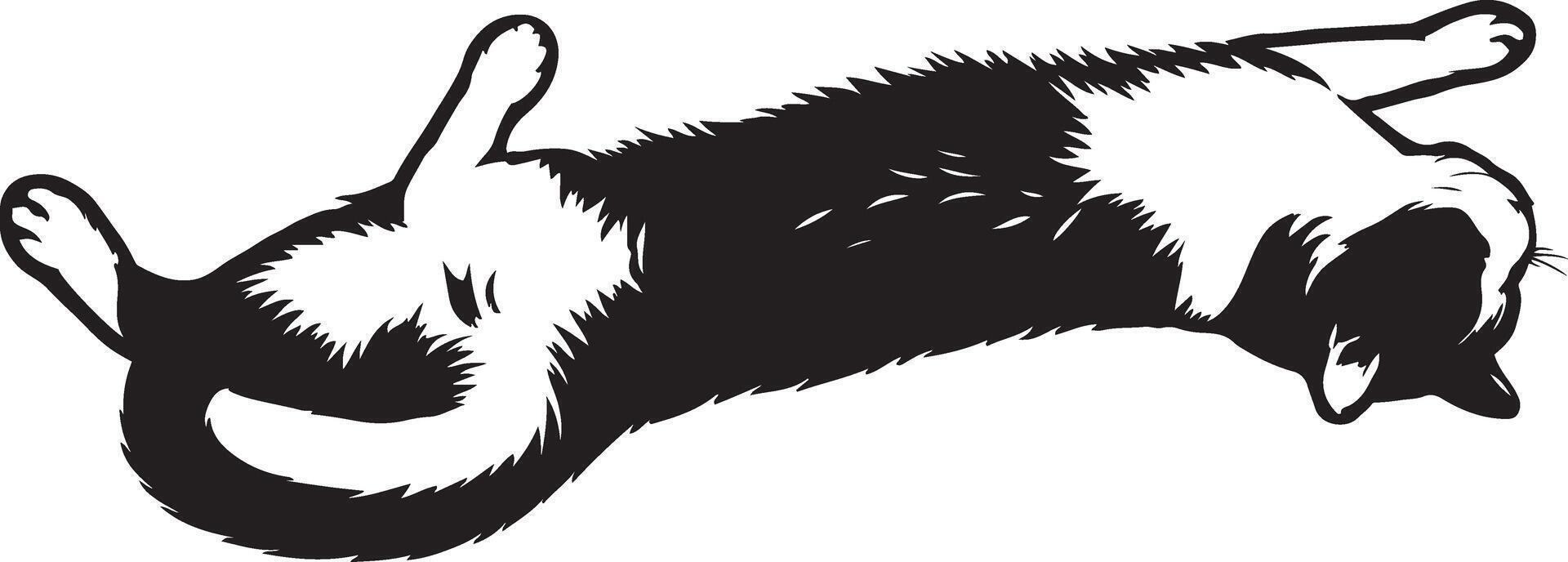 Cartoon cat lying on back playful black white, Relaxed pet cat funny cute silhouette vector