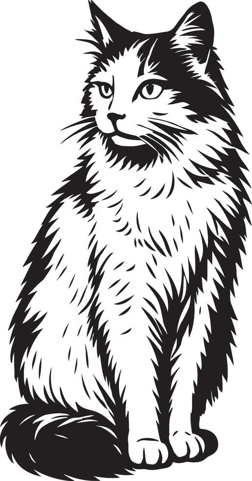 Sitting cat elegant black and white drawing, Calm cat pose for home decor designs vector