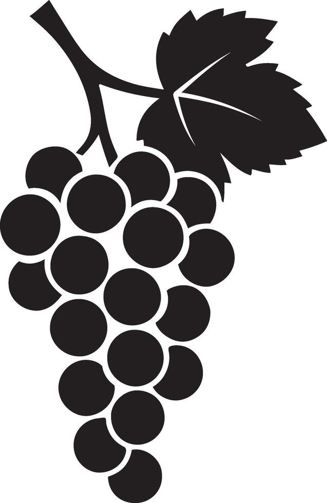 Bunch of grapes black and white silhouette, Grapevine illustration simple and clean vector