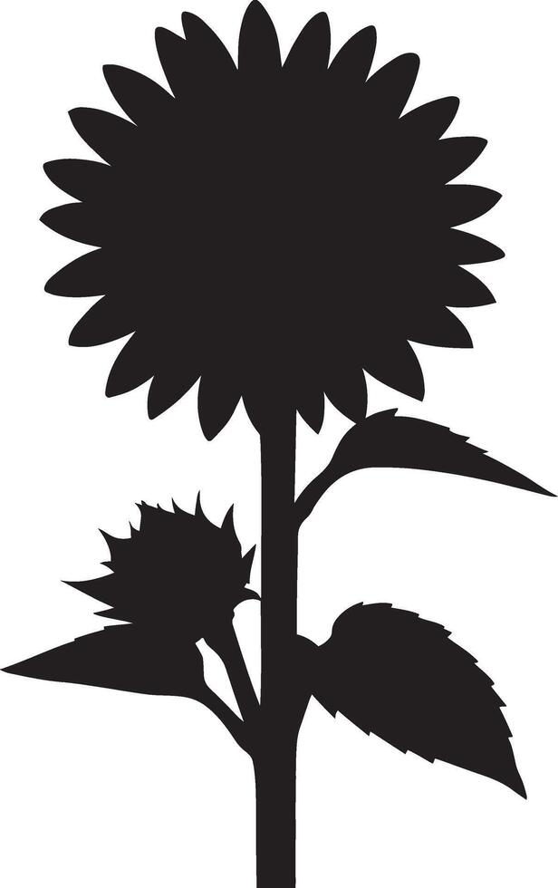 Sunflower botanical silhouette simple drawing, Garden flower black line art vector