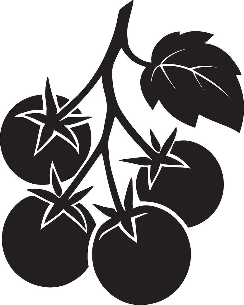 Tomatoes on a branch simple silhouette, Black and white tomato vine art vector