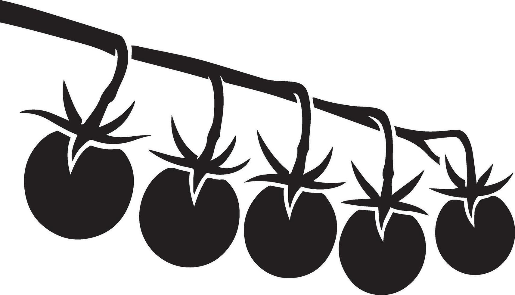 Tomatoes on vine simple silhouette art, Garden vegetable cluster illustration vector