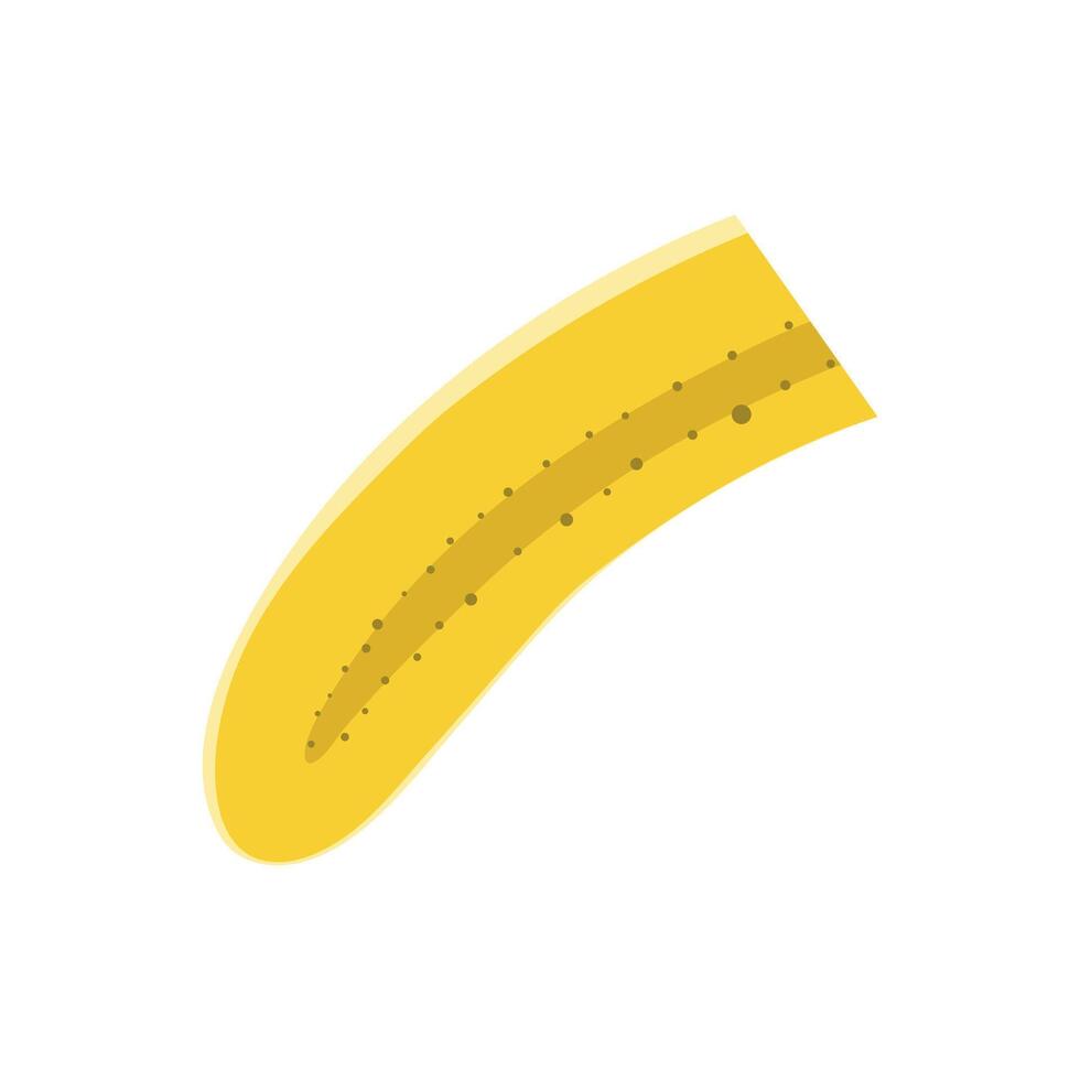 Piece of Banana. vector