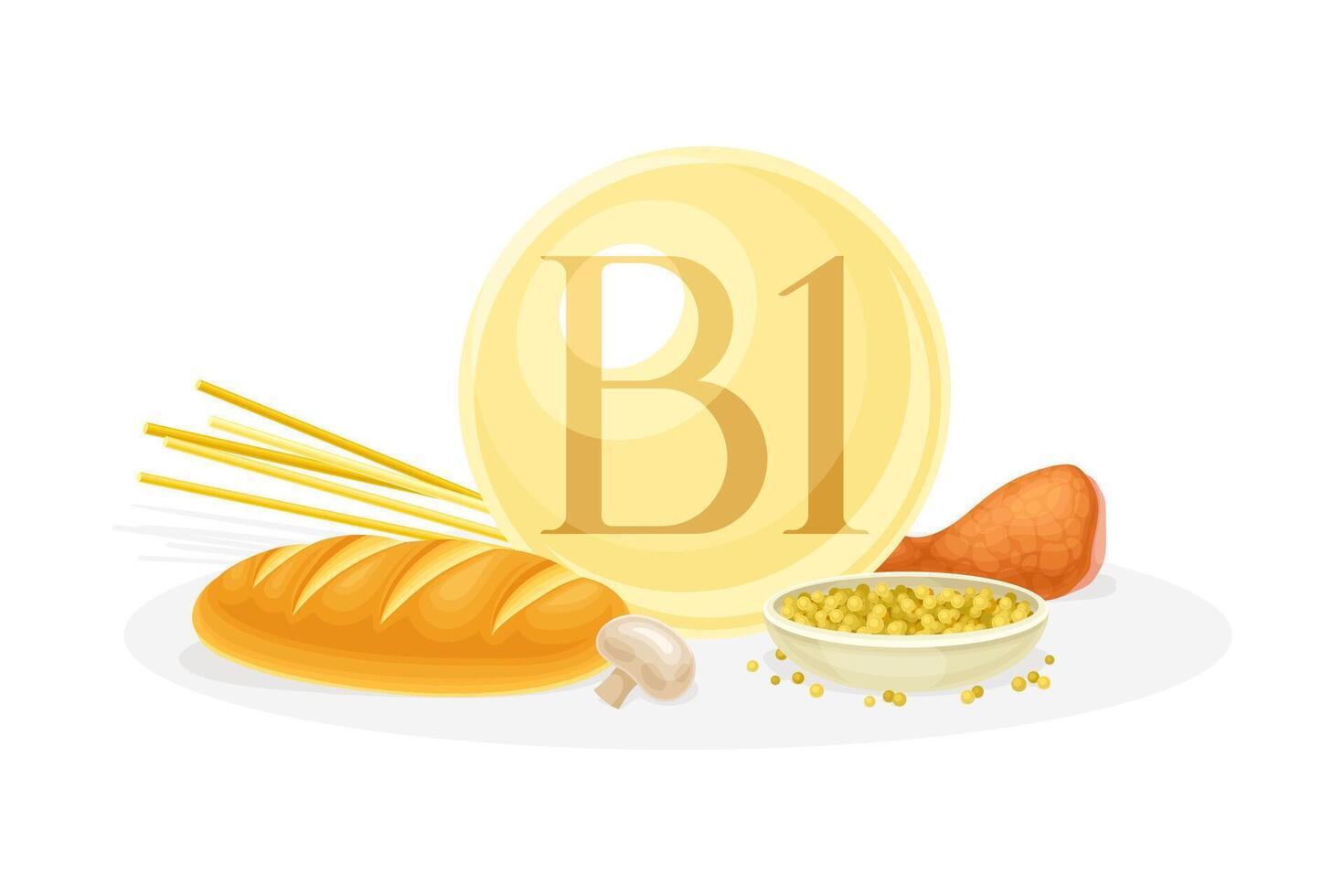 Sources of vitamin B1. Bread, mushroom, nut, chicken healthy nutrition food. Mineral vitamin supplement illustration vector