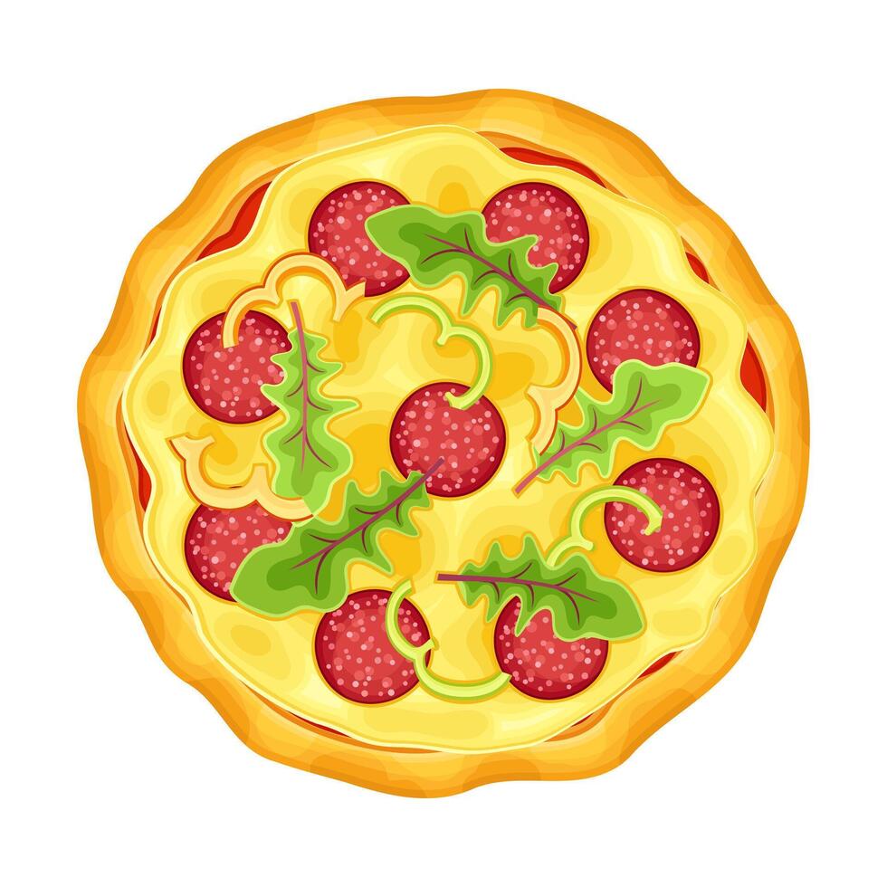 Top view of whole pizza with salami, pepper and arugula. Tasty Italian fast food illustration vector