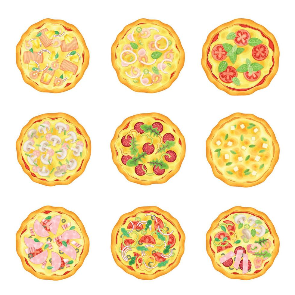 Set of tasty pizza with various ingredients. Top view of Italian fast food dish illustration vector