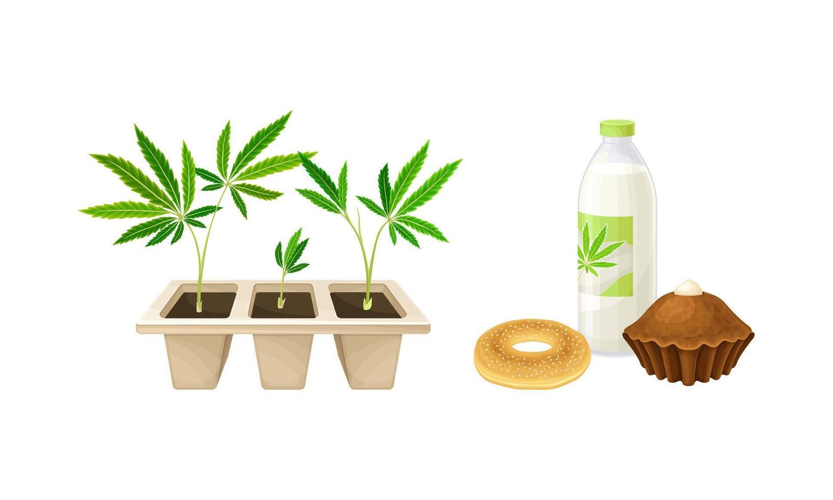Hemp processing products set. Industrial hemp cultivation, manufacturing of textile and clothing illustration vector