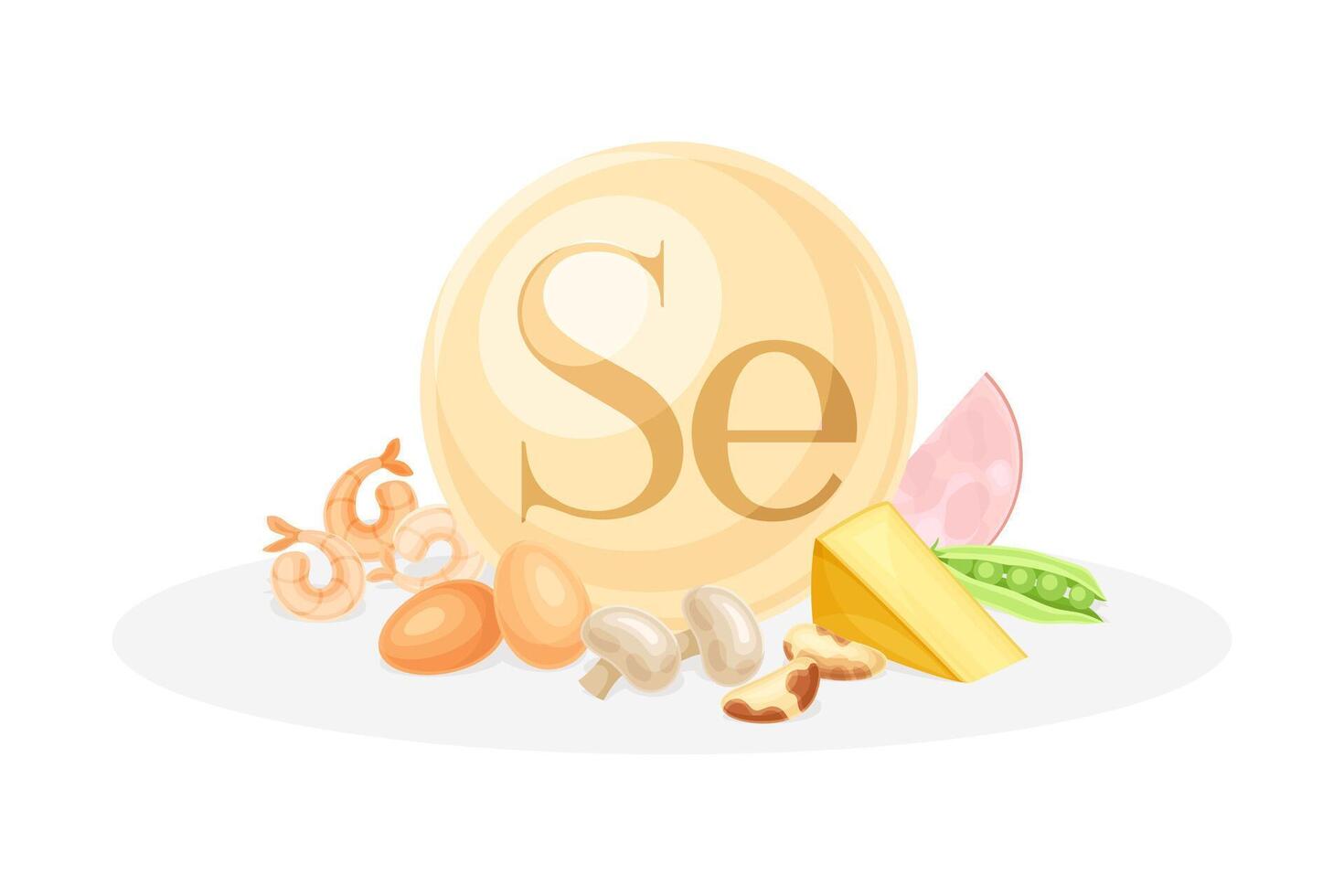 Sources of Selenium mineral. Egg, shrimp, mushroom, cheese, peas healthy nutrition food. Mineral vitamin supplement illustration vector