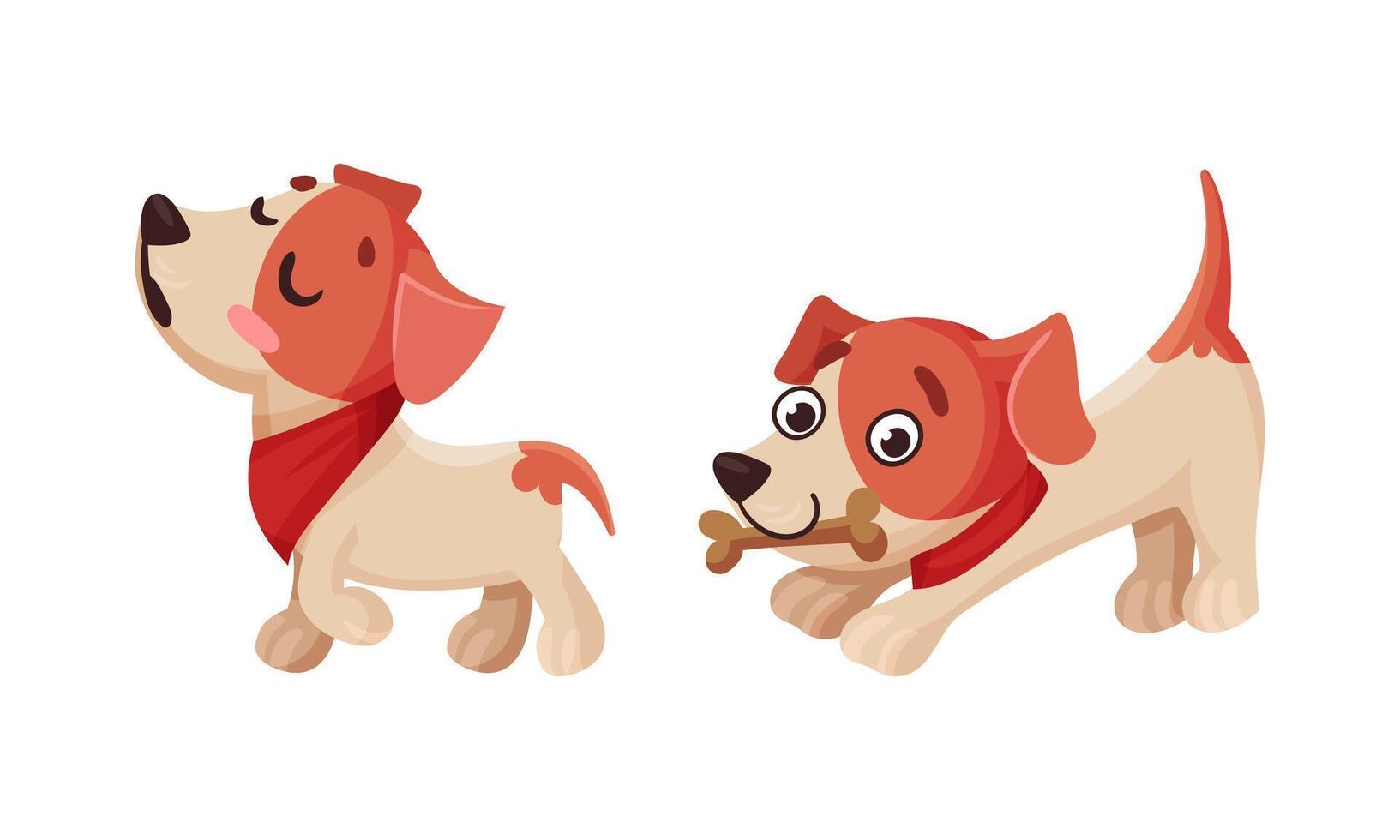 Cute puppy daily routine set. Adorable little pet animal chewing bone and walking cartoon illustration vector