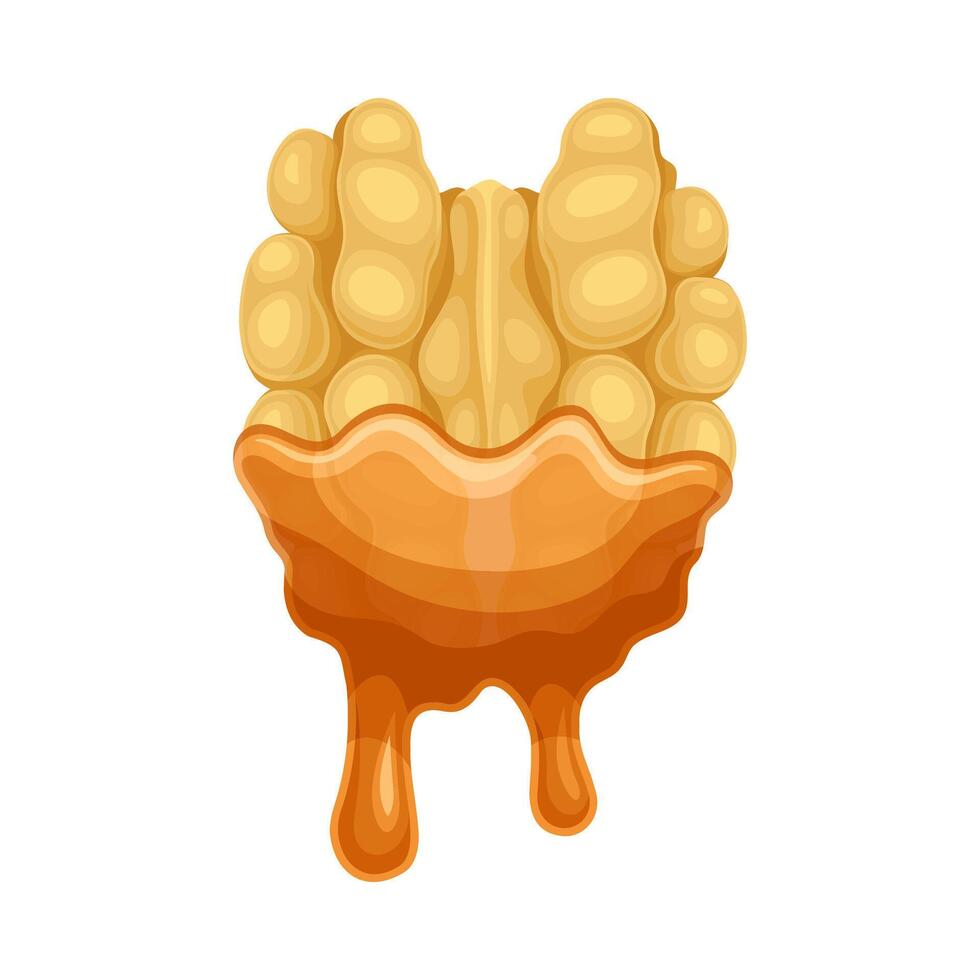 Walnut with liquid melted chocolate. Nutritious natural sweet dessert illustration vector