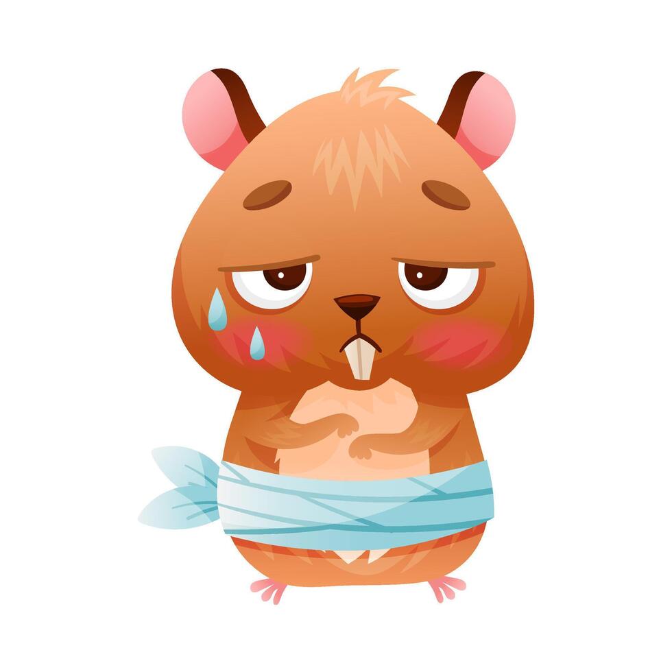 Sick baby animal. Sad crying hamster with bandage on its stomach suffering from stomachache cartoon illustration vector