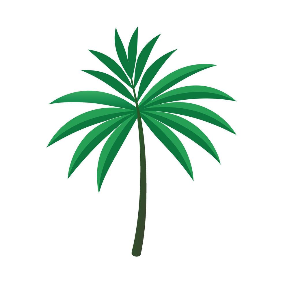 palm leaf white background .eps vector