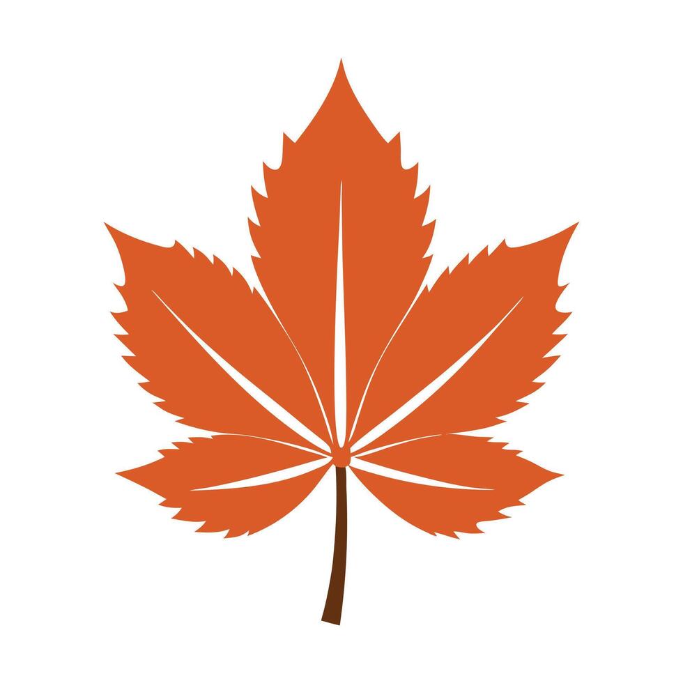 chestnut tree leaf on white background vector
