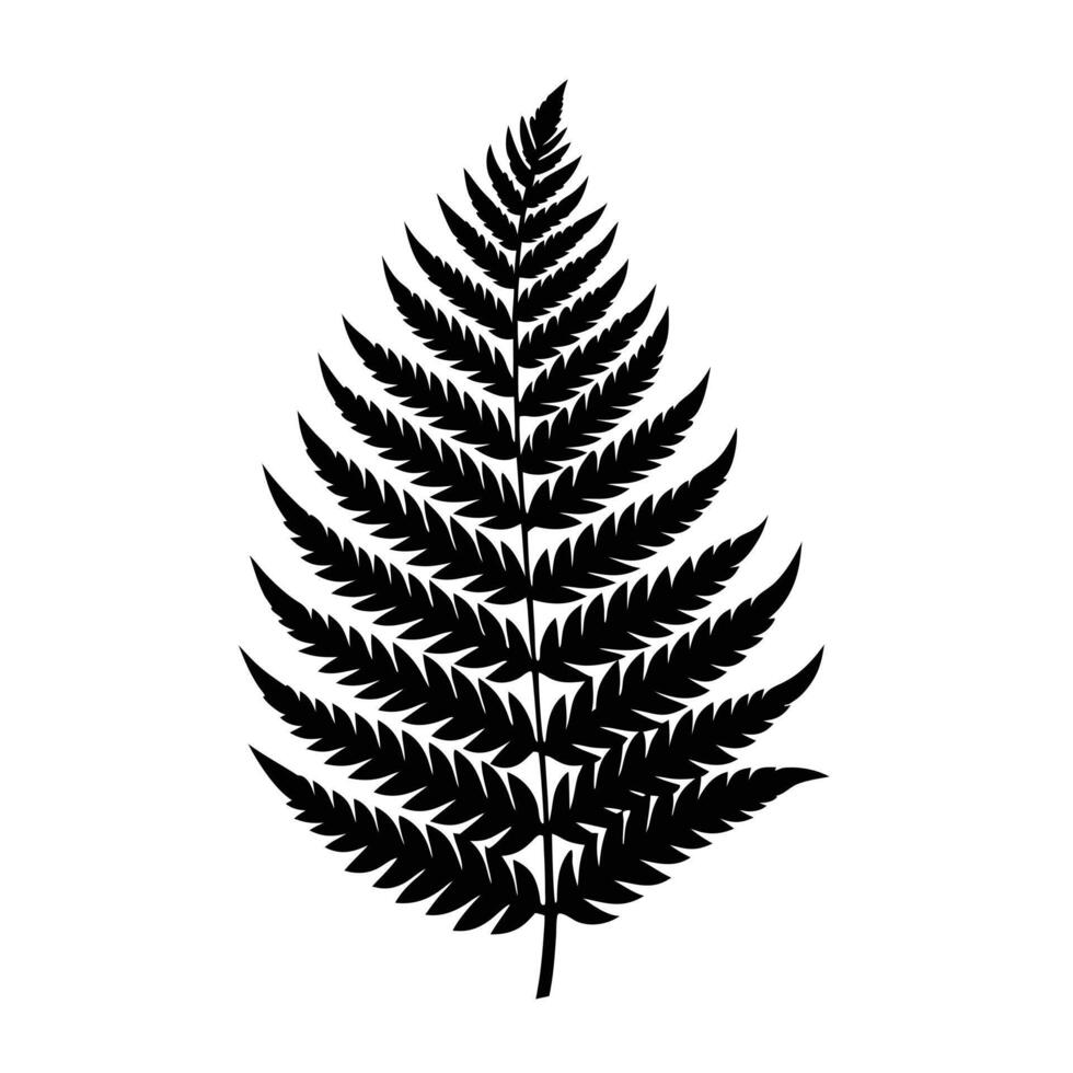 fern leaf white background vector