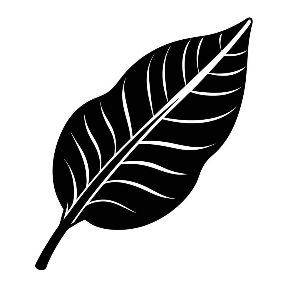 banana leaf modern design vector