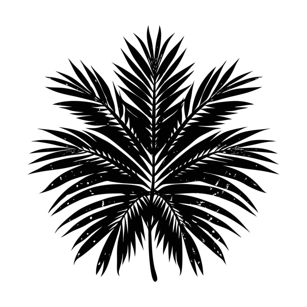 grunge textured palm leaf white background vector