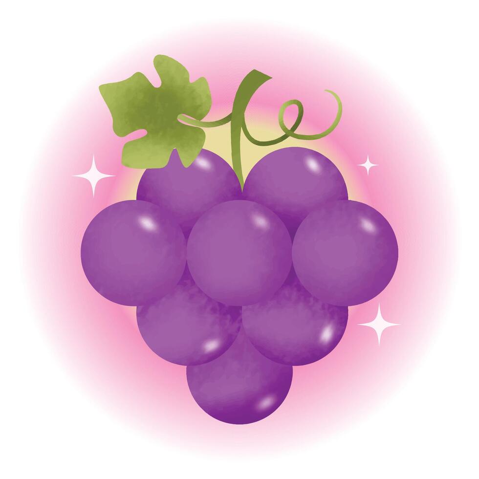 A purple grape on a pink background vector