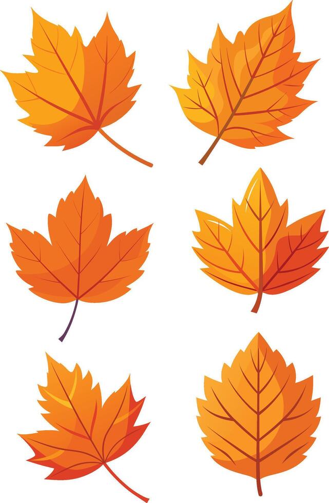 Set of autumn leaves isolated on white new 2025 trendy vector