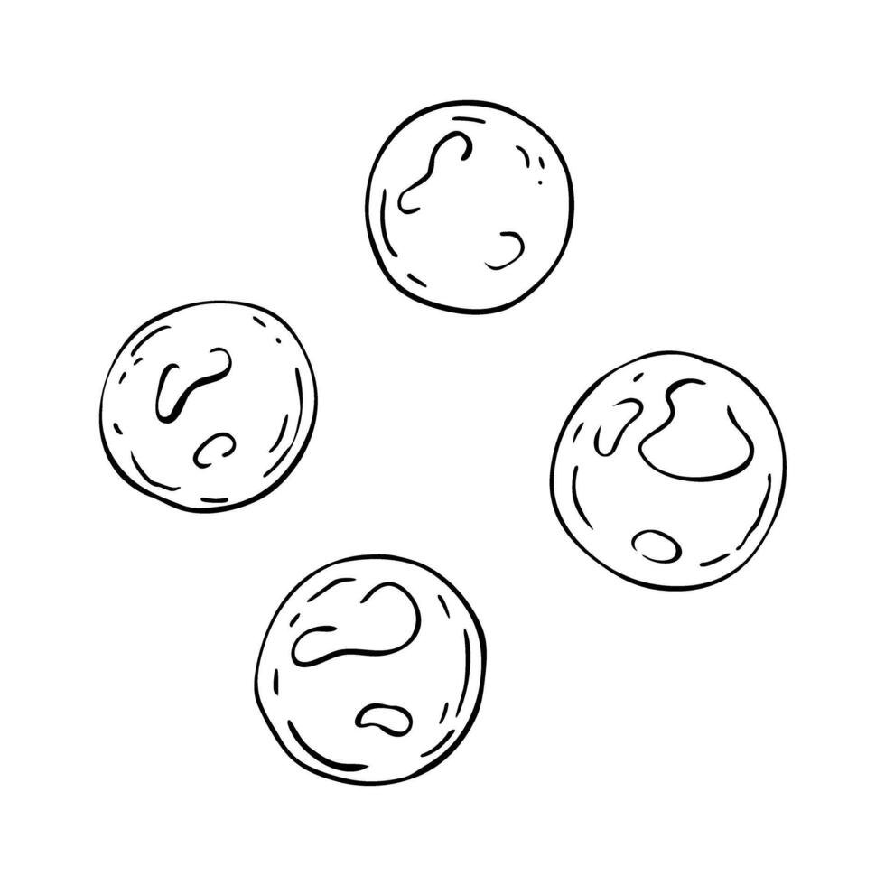A set of four round bubbles or pearls. Black and white illustration in linear style. The simple, clean lines and organic shapes. Hand drawn by black ink. Sketch isolated on white. For clipart vector