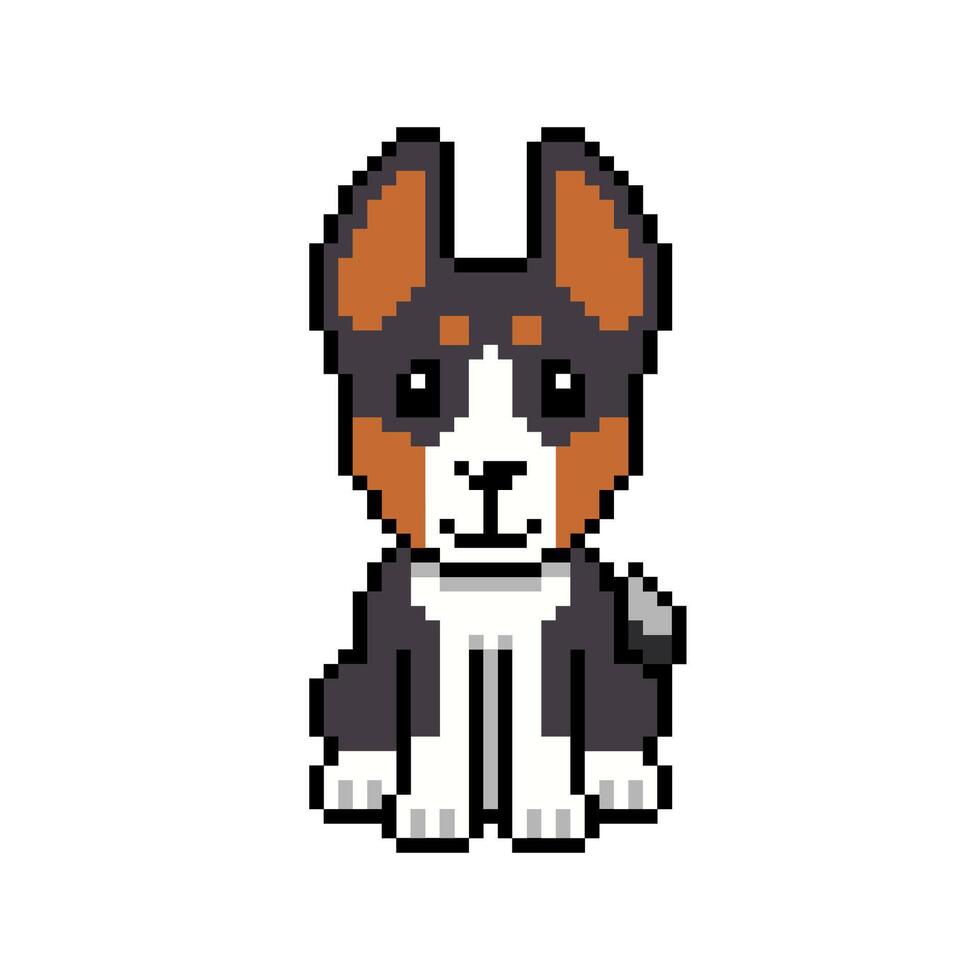 Pixel art a basenji dog in retro style for design. vector