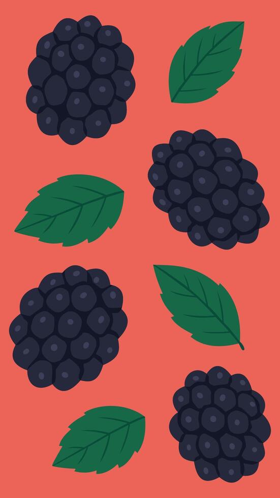 Flat illustration of blackberries with green leaves on a coral red background - fresh summer berries in minimal cartoon style vector