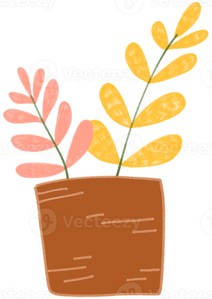 A plant in a pot with yellow and pink leaves png