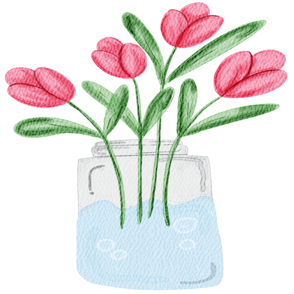 watercolor pink flowers in a vase png