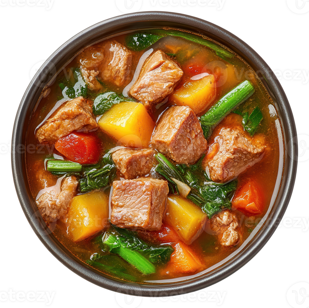Hearty Beef and Vegetable Stew in a Bowl on a Transparent Image png