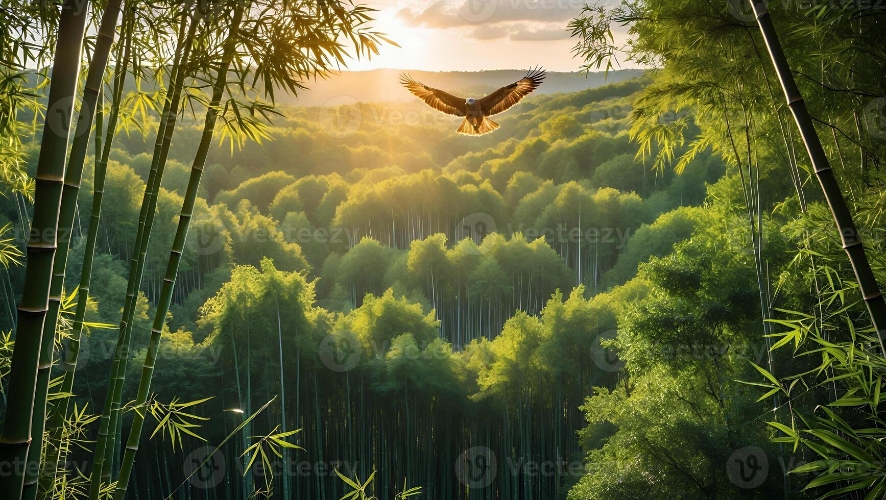 Eagle Soaring Through Bamboo Forest at Sunrise with Sun Rays photo