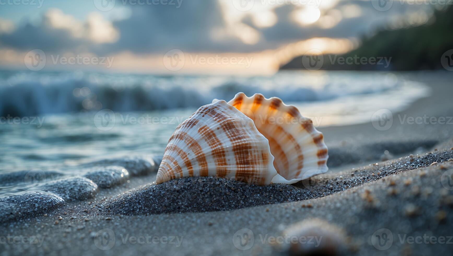 Seashell Resting on Beach Sand at Sunset with Ocean Waves photo