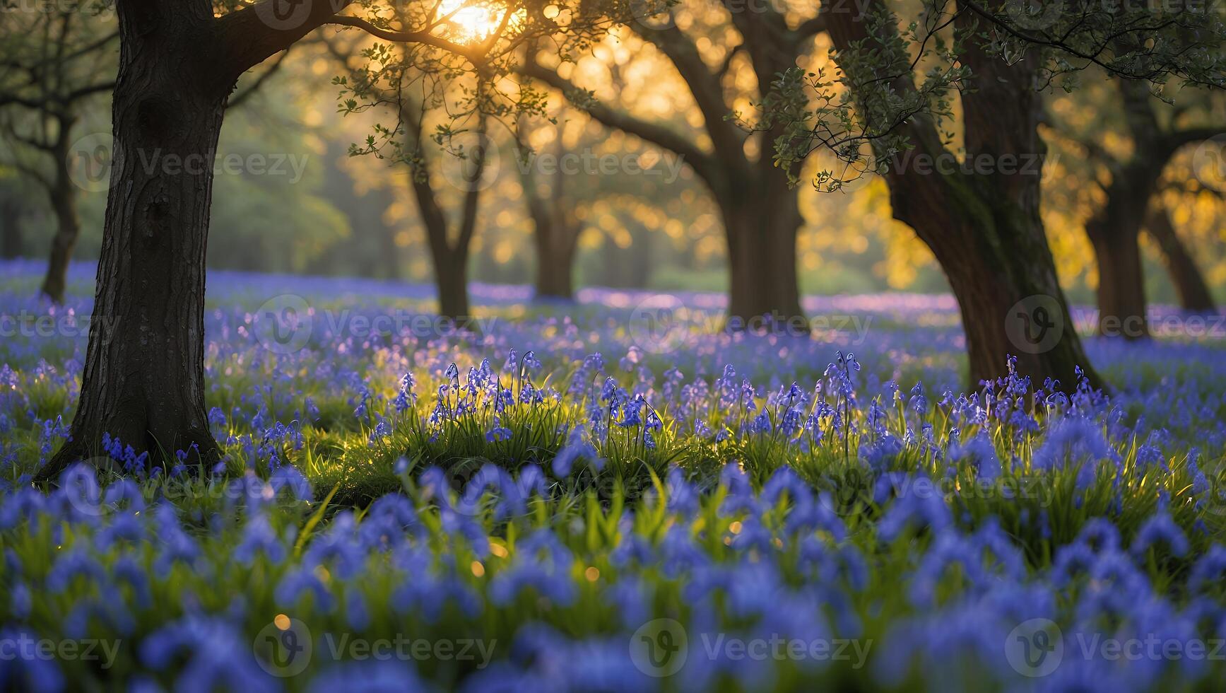 Blooming Bluebell Flowers in Forest Glade with Sunlight Shining Through Trees photo