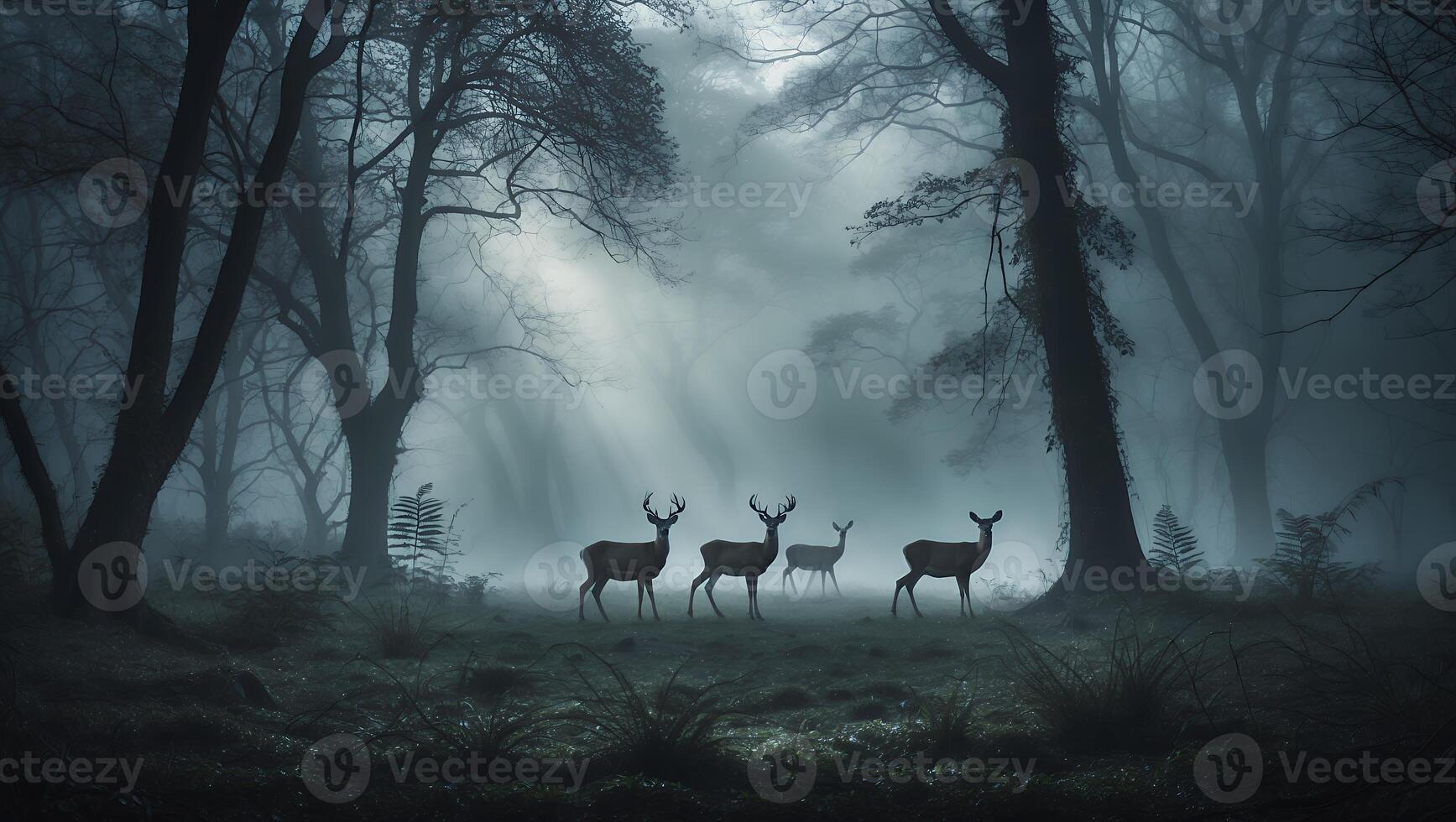 Deer Walking Through Misty Forest with Sun Rays Shining Through Trees photo