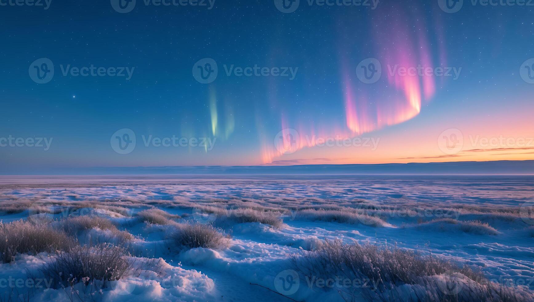 Observing Aurora Borealis Over a Snowy Plain Under a Starry Sky photo