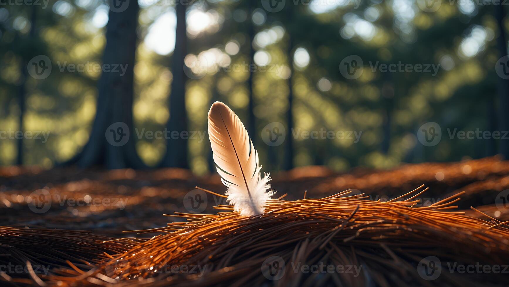 Feather Standing Upright on Pine Needles in a Forest Setting photo