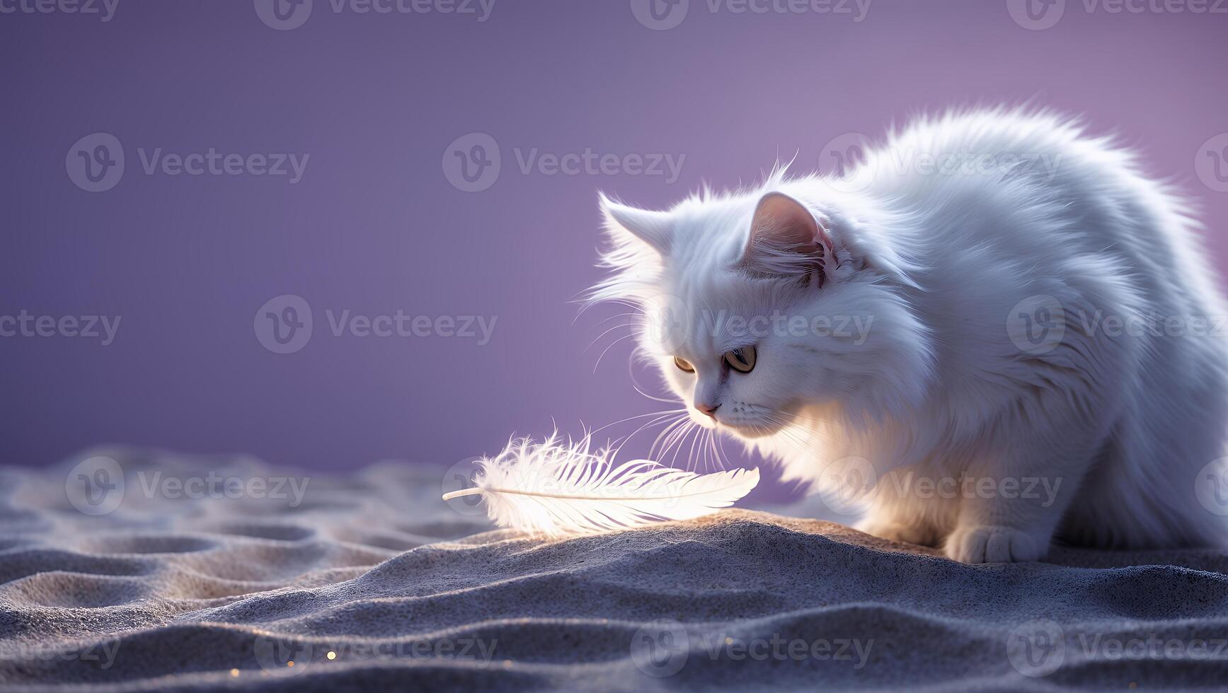 White Cat Examining Feather on Sand with Soft, Dreamy Background photo