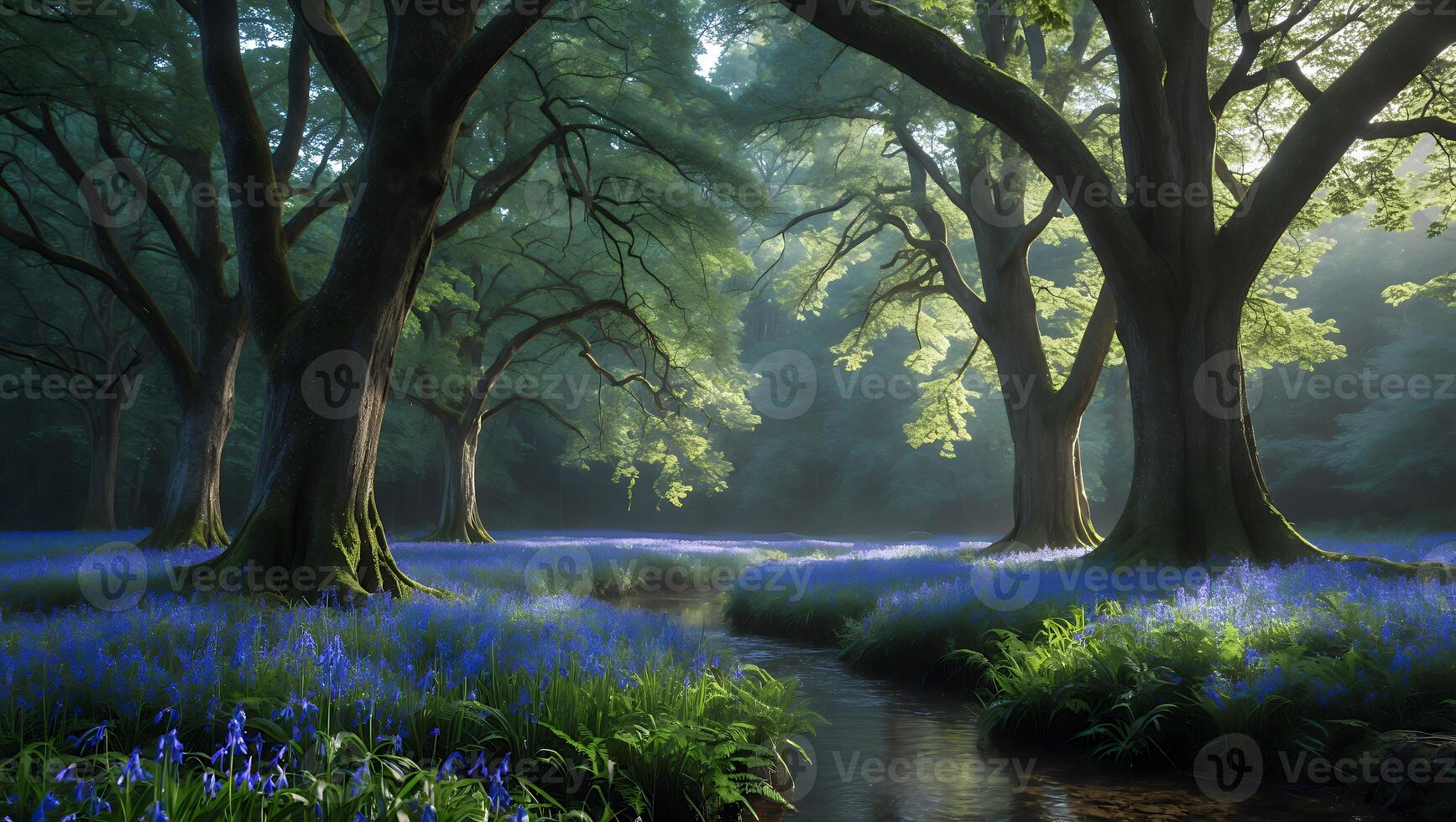 Walking Through Forest with Bluebells and Flowing Stream photo