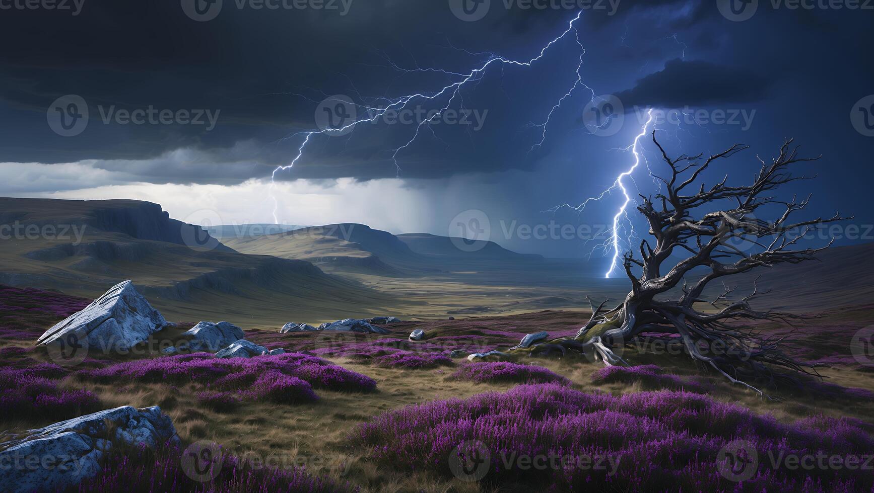 Dramatic Lightning Strikes Across a Heather Field with Distant Hills photo