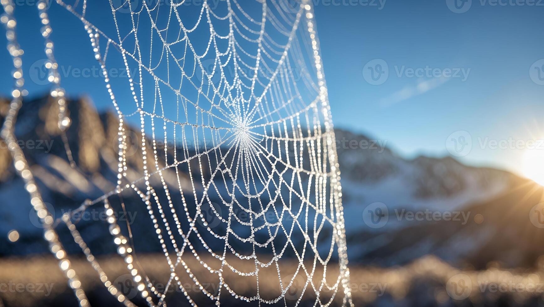 Spiderweb Glistens with Dew Drops in the Mountain Sunrise Light photo