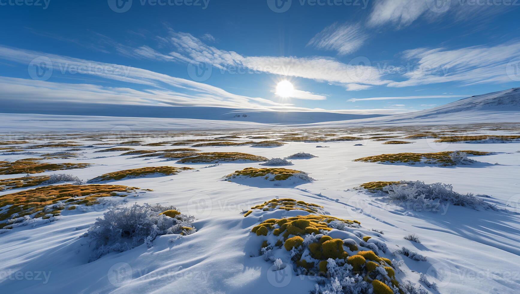 Vast Snowy Arctic Landscape with Moss Patches Under a Sunny Sky photo