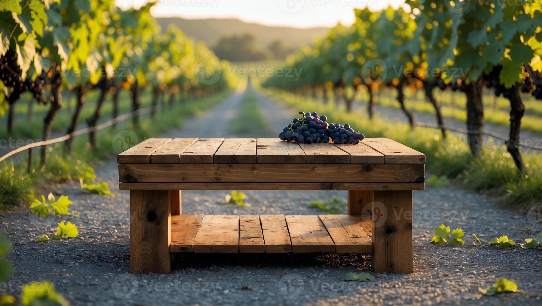 Grapes on Wooden Table in Vineyard at Sunset with Warm Light photo