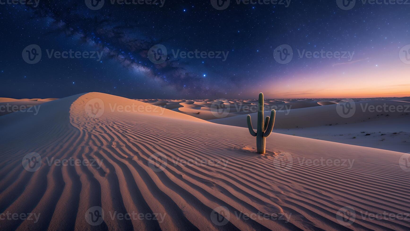 Cactus Stands Tall in Desert Sand Dunes Under Milky Way photo
