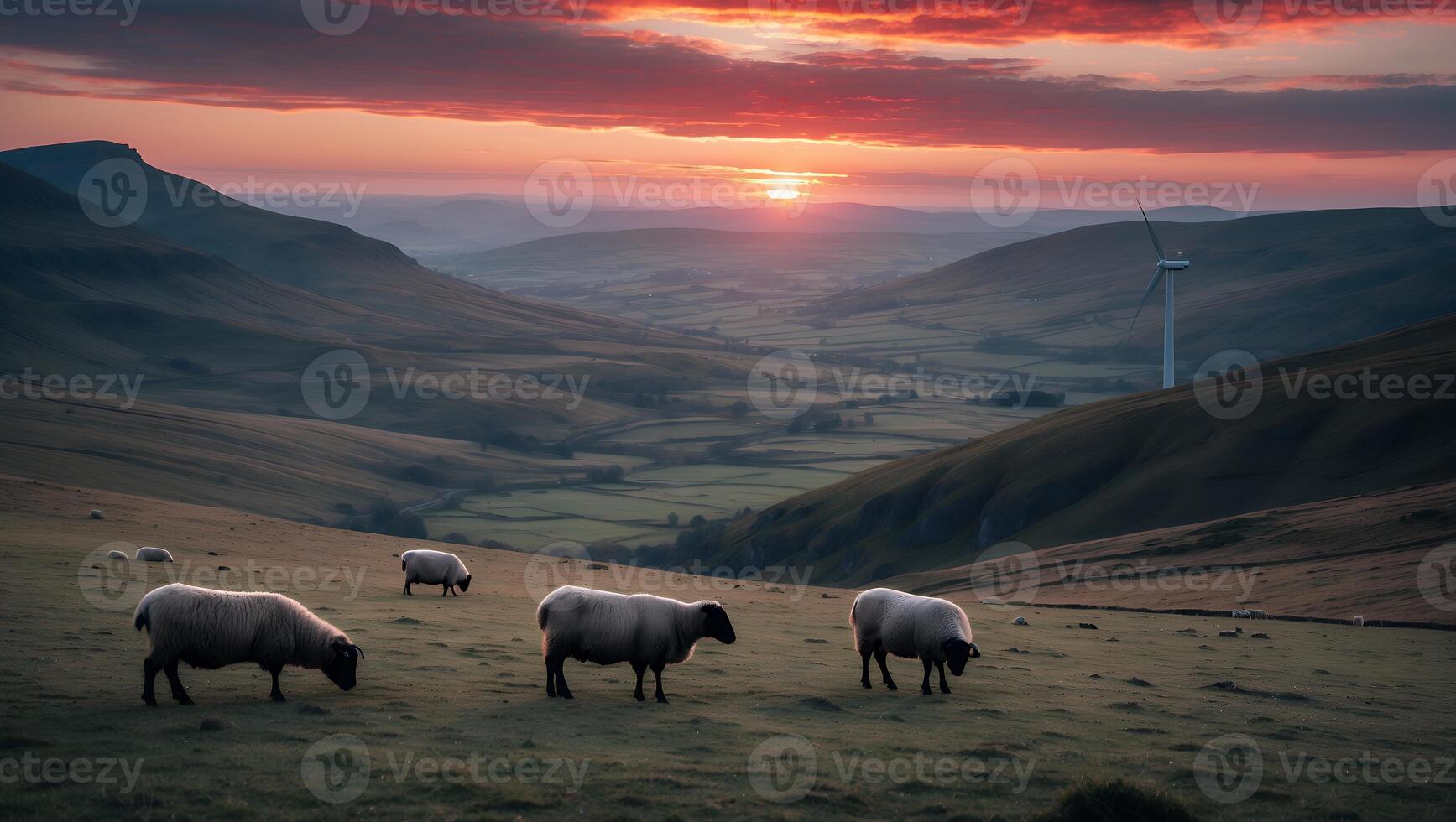 Sheep Grazing in Rolling Hills at Sunset with a Wind Turbine photo