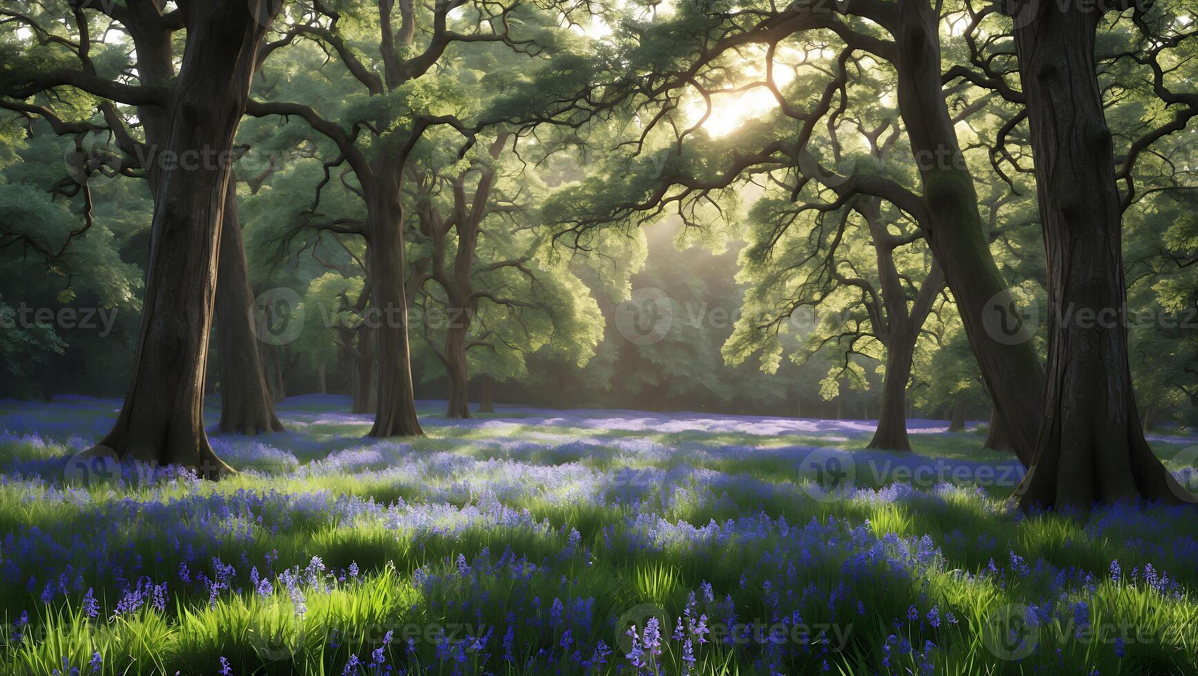 Idyllic Woodland Scene with Bluebells and Sunlight Filtering Through Trees photo