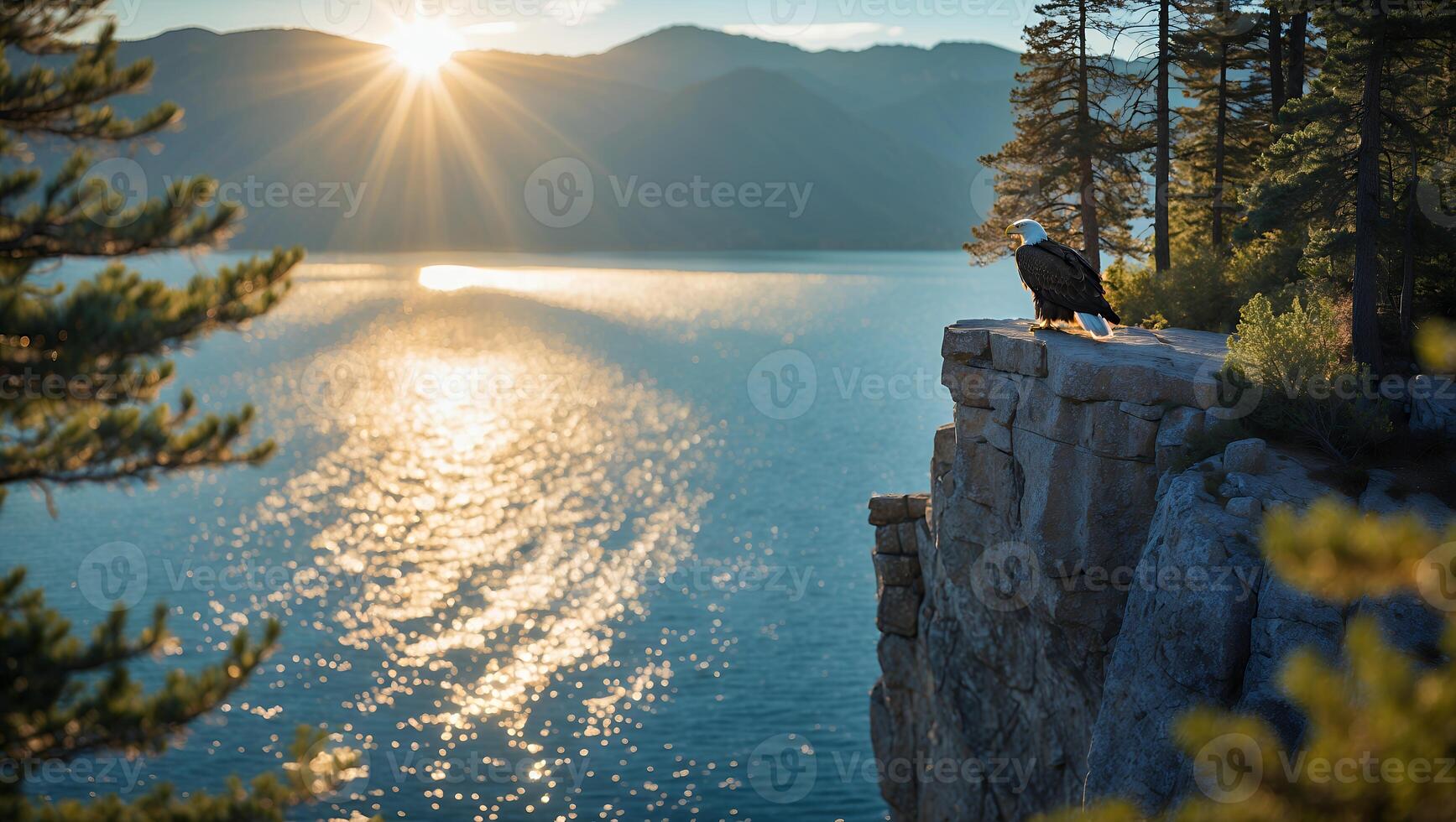 Eagle Perched on Cliff Overlooking Lake at Sunrise with Reflection photo