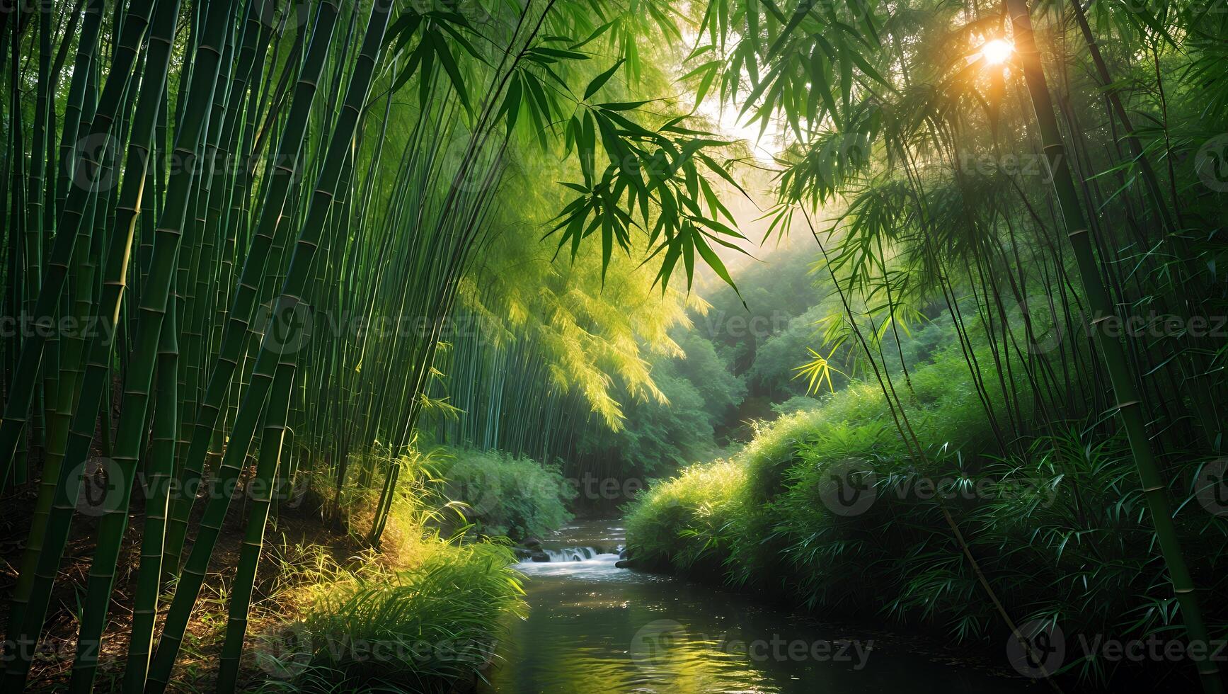 Stream Flows Through Lush Bamboo Forest with Sunlight Peeking Through photo