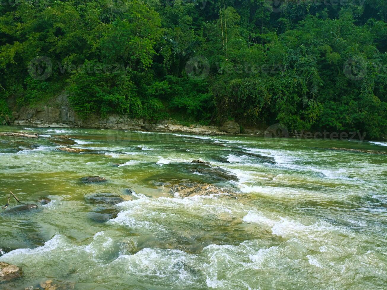A river with rapids and trees in the background photo