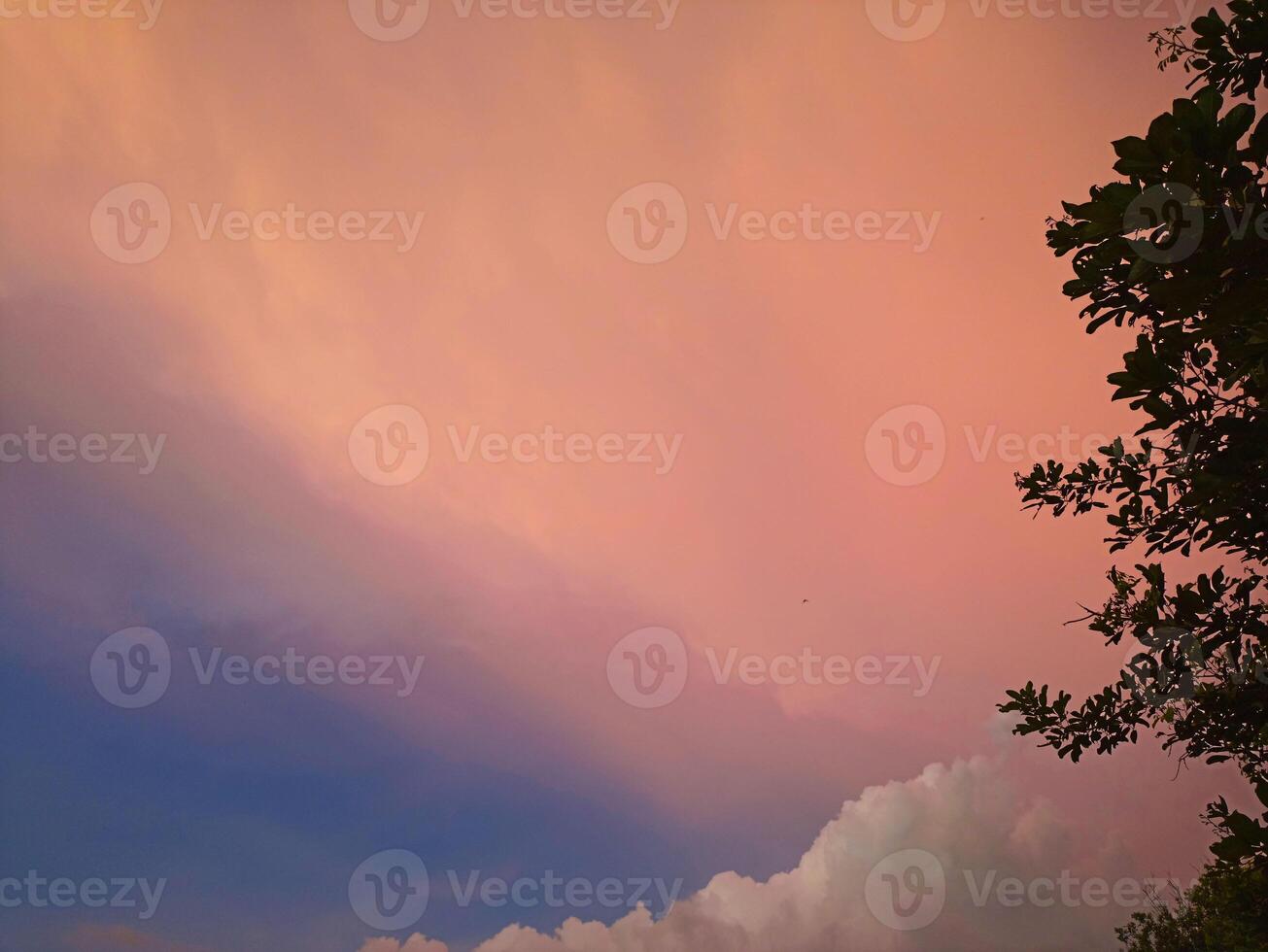 A pink and blue sky with clouds and trees photo