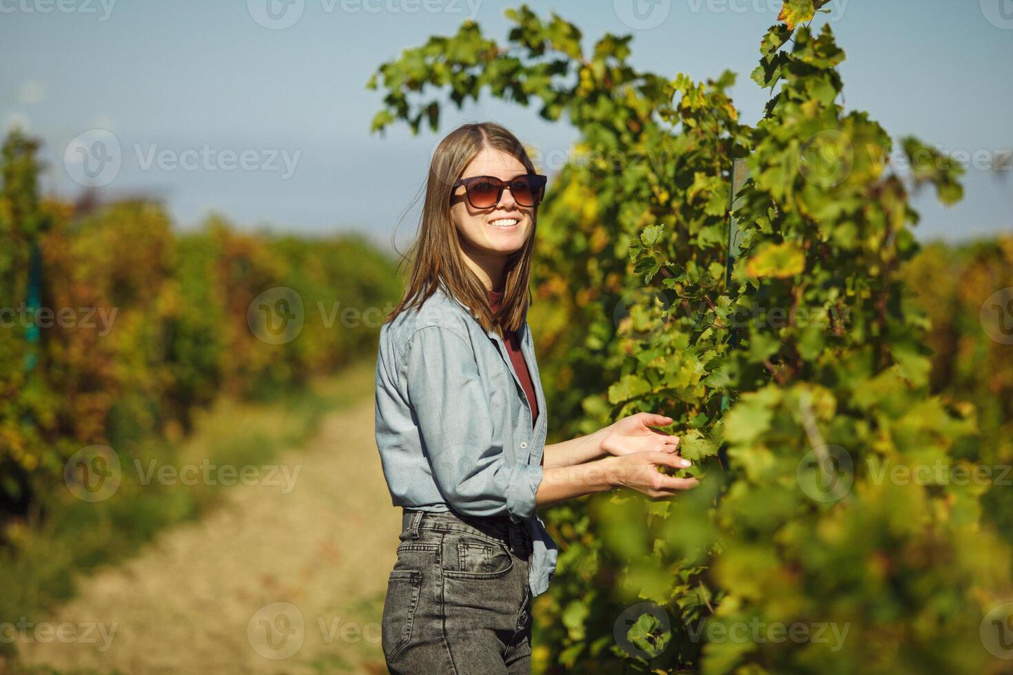Woman Standing in Vineyard Field and Scrutiny of Tree Health photo